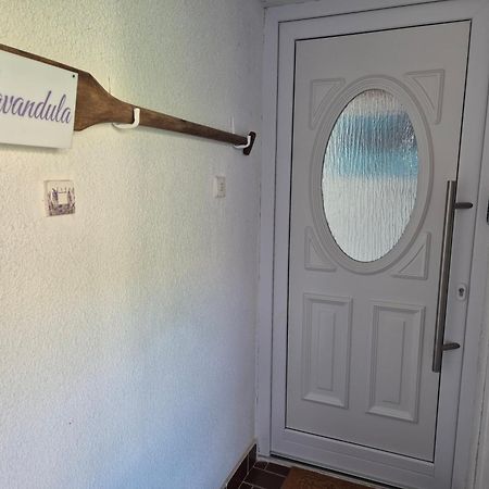 Lavandula Labin  Exteriér fotografie